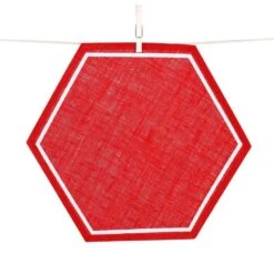 Coral Framed Hexagon Jute Placemat | Set Of 4