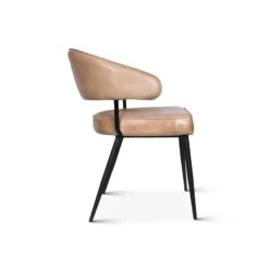 Brisben Modern Armchair, Set Of 2 -Household Items Series FEX DAC AI sd1