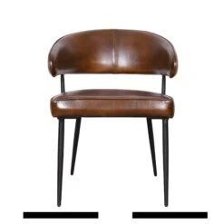 Brisben Modern Armchair, Set Of 2 -Household Items Series FEX DAC CH