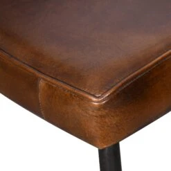 Brisben Modern Armchair, Set Of 2 -Household Items Series FEX DAC CH dt1