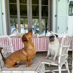 India Hicks Home Pageant Tablecloth 13 India Hicks Home Pageant Tablecloth -Household Items Series IH pageant red vignette stretch penelope