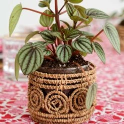 Serpentine Votive Candle Holder / Vase Small -Household Items Series SerpentineVotive 6316 161182