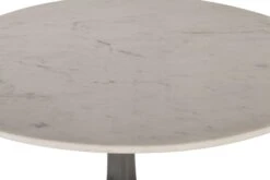 Palm Desert Natural Marble Dining Table With Steel Tulip Base -Household Items Series ZWPDRD48 COB det